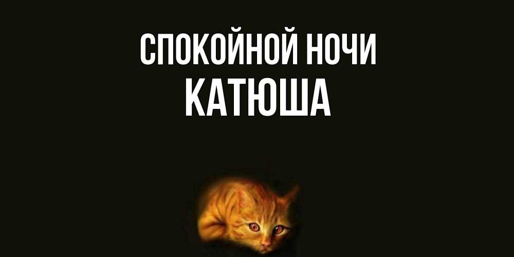 Открытка на каждый день с именем, КАТЮША Спокойной ночи кот Прикольная открытка с пожеланием онлайн скачать бесплатно 