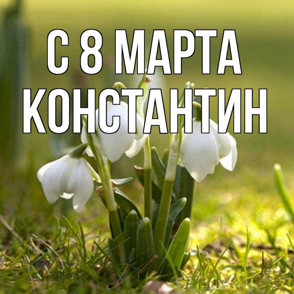 Открытка на каждый день с именем, Константин С 8 марта ранние цветы 2 Прикольная открытка с пожеланием онлайн скачать бесплатно 