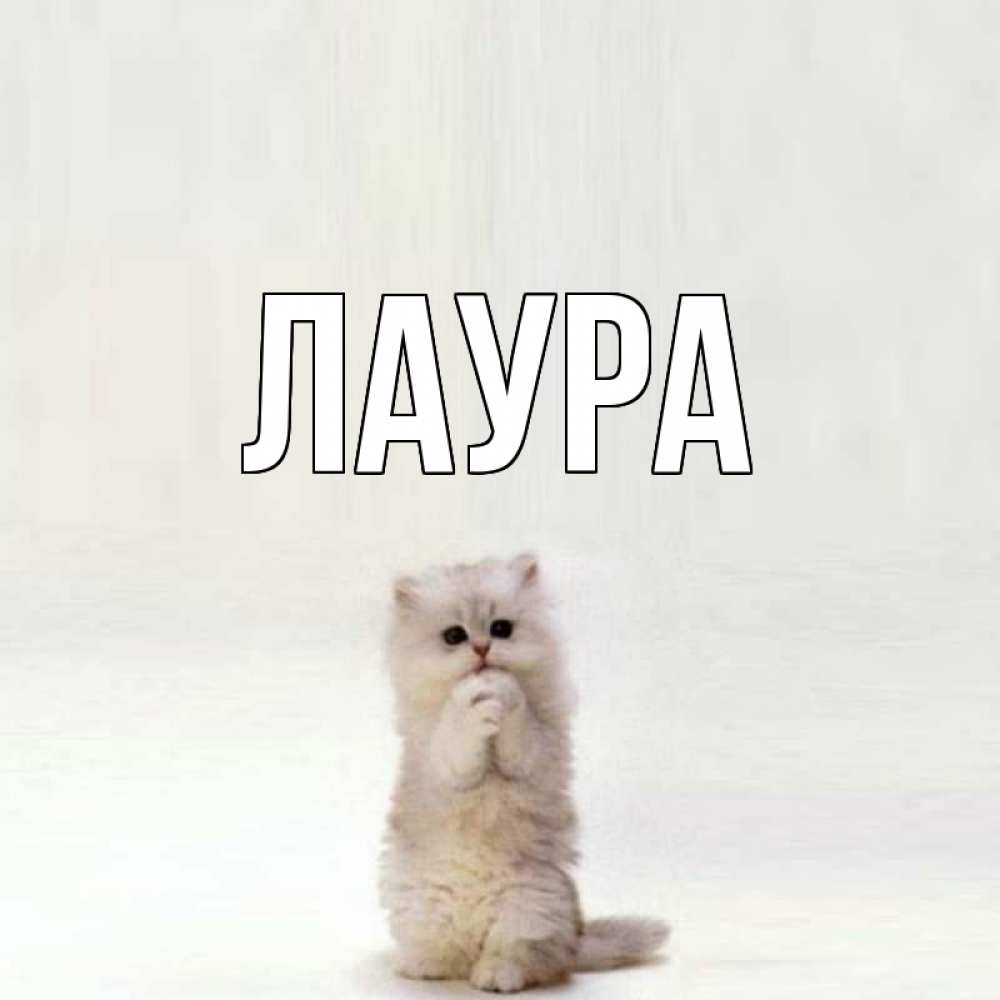 Открытка на каждый день с именем, Лаура Главная кот стоит на задних лапах Прикольная открытка с пожеланием онлайн скачать бесплатно 
