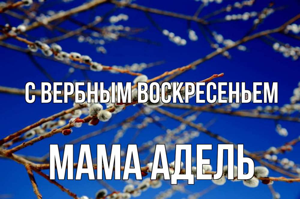 Открытка на каждый день с именем, Мама-Адель С вербным воскресеньем верба Прикольная открытка с пожеланием онлайн скачать бесплатно 