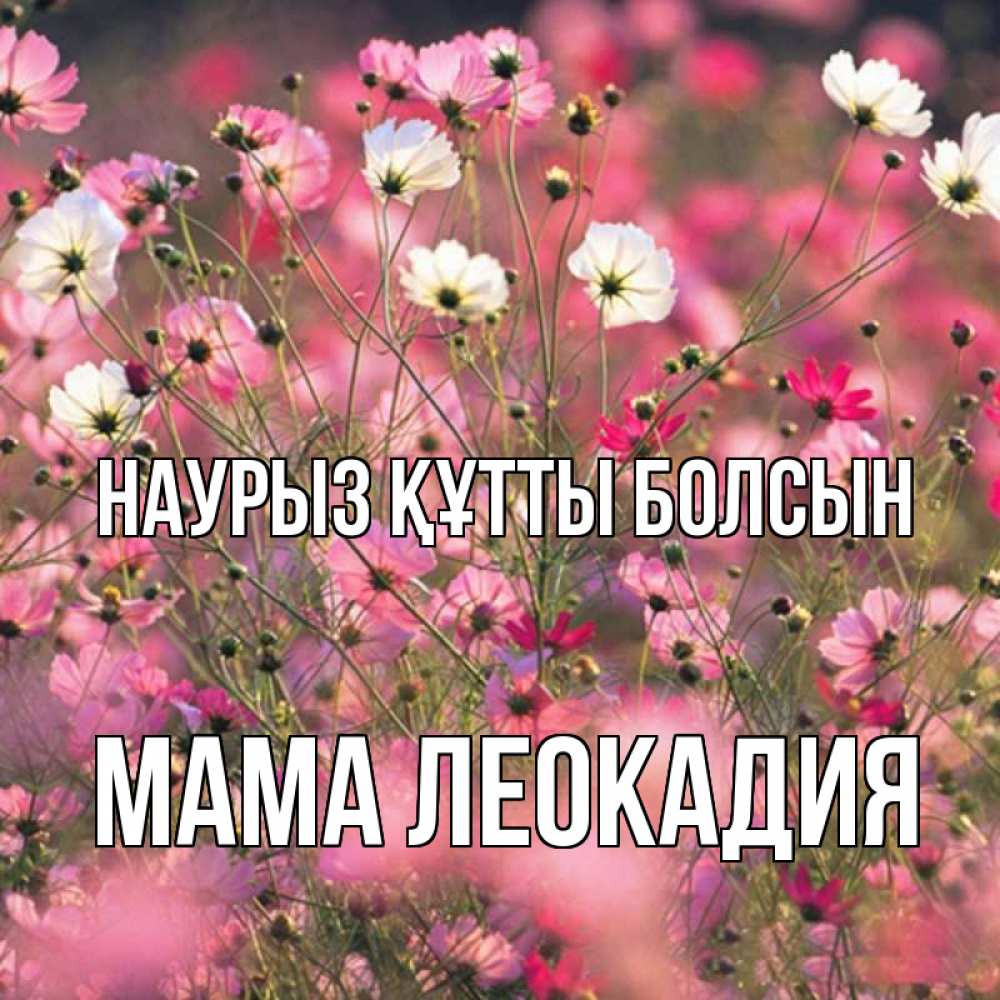 Открытка на каждый день с именем, Мама-Леокадия Наурыз құтты болсын красиво 1 Прикольная открытка с пожеланием онлайн скачать бесплатно 