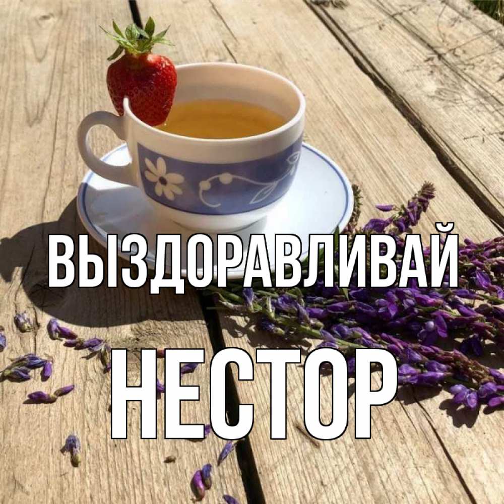 Открытка на каждый день с именем, Нестор Выздоравливай чай Прикольная открытка с пожеланием онлайн скачать бесплатно 