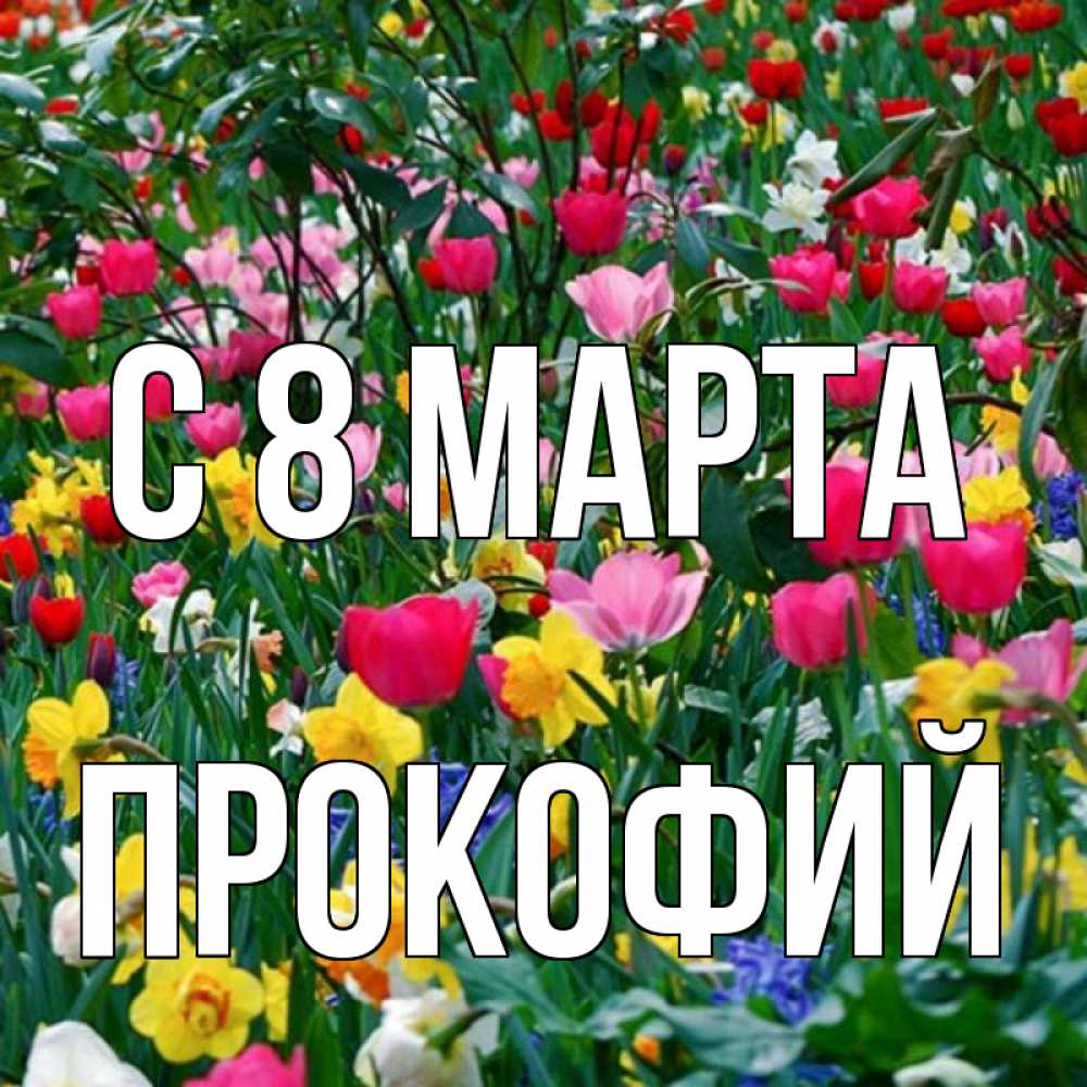 Открытка на каждый день с именем, Прокофий С 8 МАРТА с международным женским днем поздравления для женщины Прикольная открытка с пожеланием онлайн скачать бесплатно 