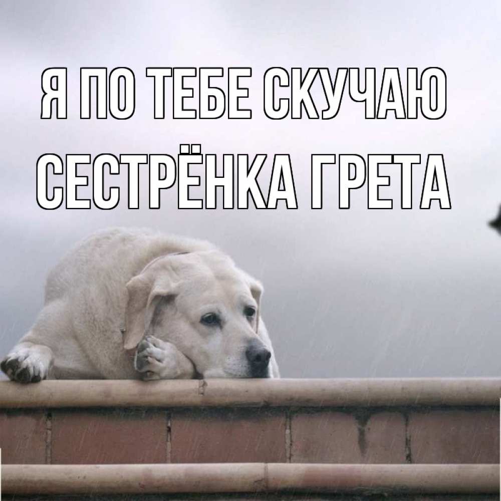 Открытка на каждый день с именем, Сестрёнка-Грета Я по тебе скучаю ждет Прикольная открытка с пожеланием онлайн скачать бесплатно 