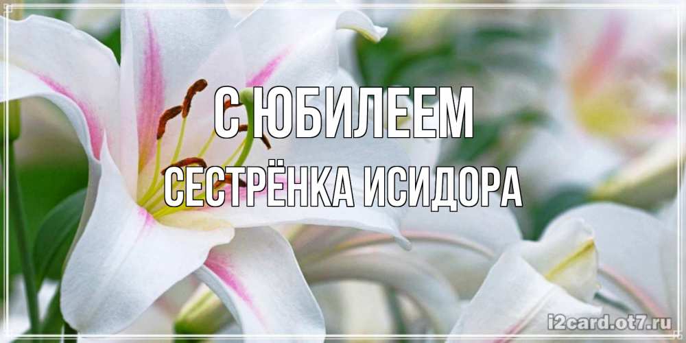 Открытка на каждый день с именем, Сестрёнка-Исидора С юбилеем открытка с белой лилией Прикольная открытка с пожеланием онлайн скачать бесплатно 