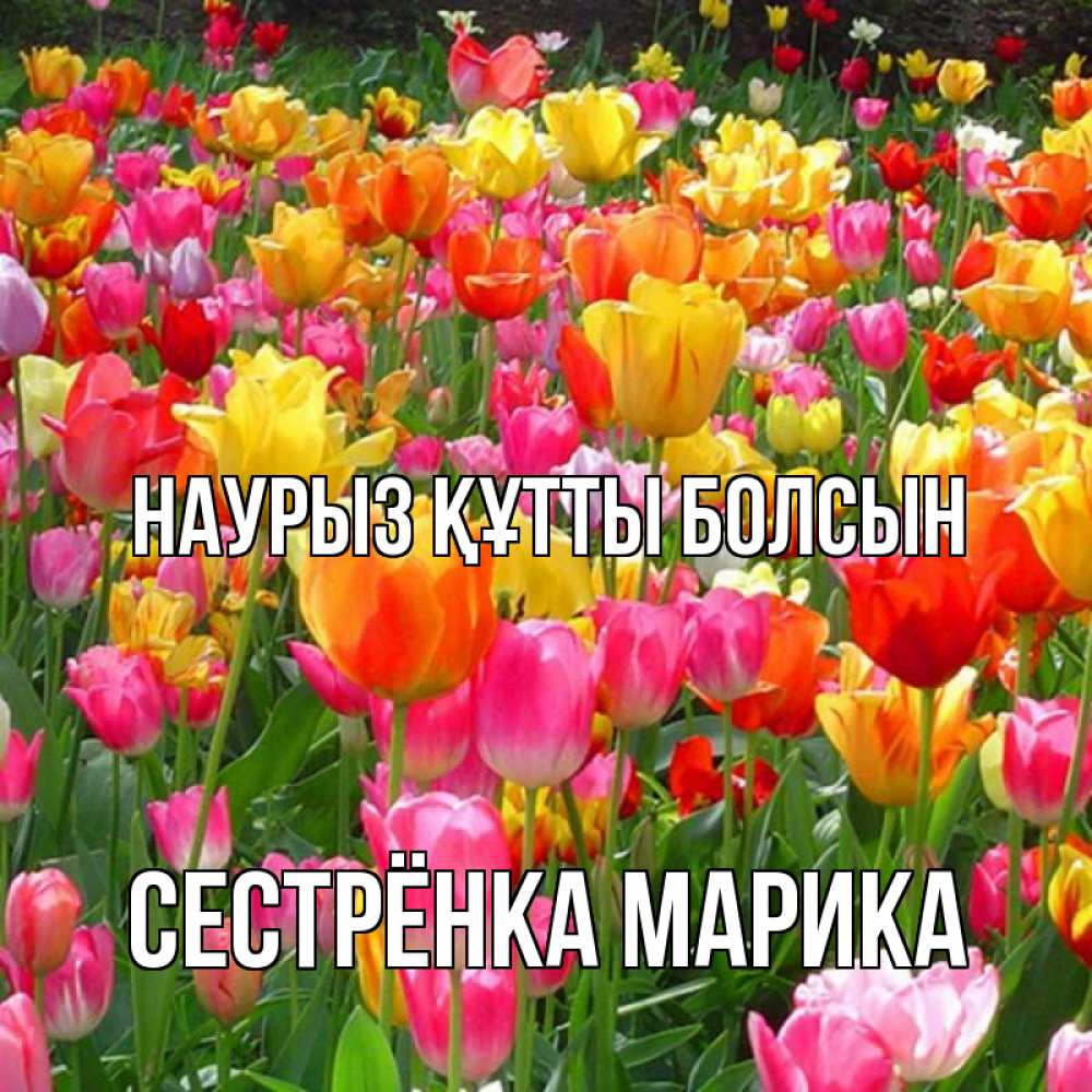 Открытка на каждый день с именем, Сестрёнка-Марика Наурыз құтты болсын на наурыз  ура ура Прикольная открытка с пожеланием онлайн скачать бесплатно 