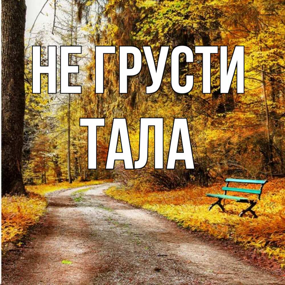 Открытка на каждый день с именем, Тала Не грусти зеленая лавочка Прикольная открытка с пожеланием онлайн скачать бесплатно 