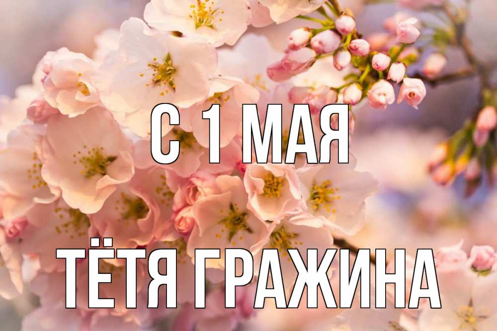 Открытка на каждый день с именем, Тётя-Гражина С 1 мая С 1 мая Прикольная открытка с пожеланием онлайн скачать бесплатно 