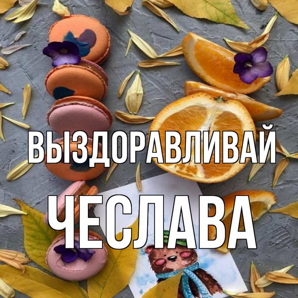 Открытка на каждый день с именем, Чеслава Выздоравливай не болейте Прикольная открытка с пожеланием онлайн скачать бесплатно 
