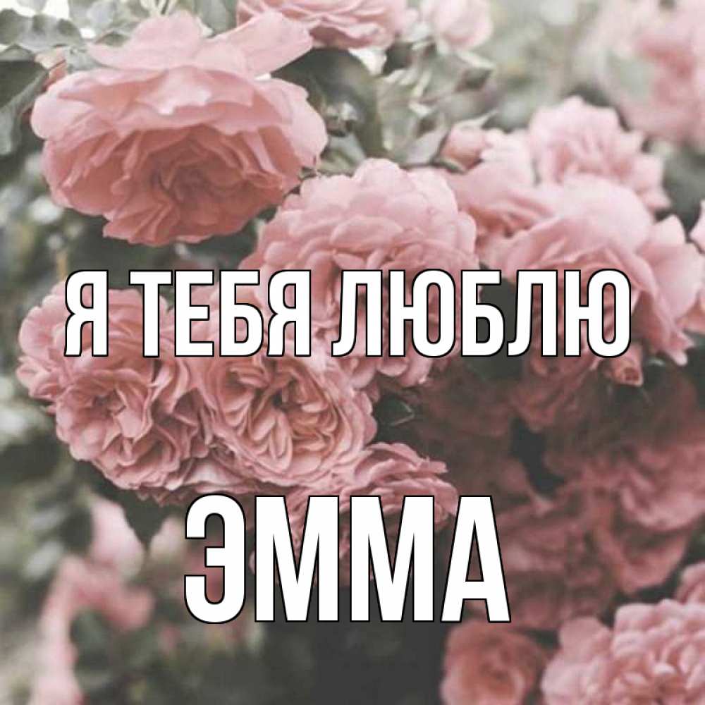 Открытка на каждый день с именем, Эмма Я тебя люблю розы 3 Прикольная открытка с пожеланием онлайн скачать бесплатно 