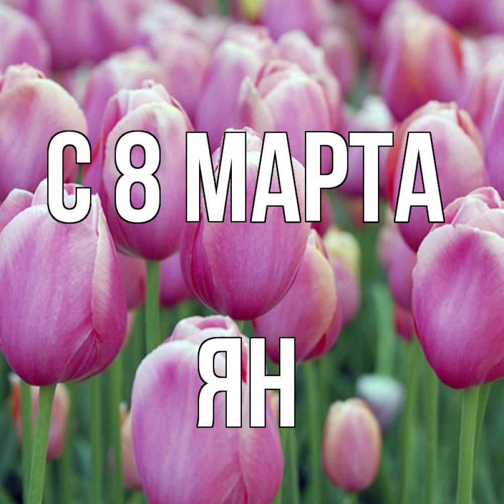 Открытка на каждый день с именем, Ян С 8 МАРТА на международный женский день 3 Прикольная открытка с пожеланием онлайн скачать бесплатно 