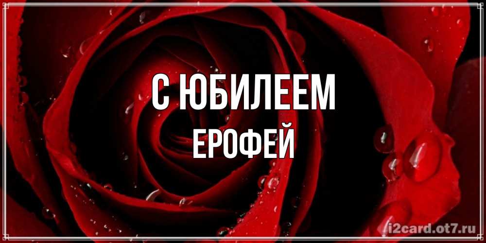 Открытка на каждый день с именем, Ерофей С юбилеем крупная бордовая роза Прикольная открытка с пожеланием онлайн скачать бесплатно 
