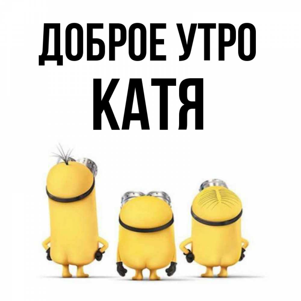 Картинки для кати с добрым утром, стресса прикольные картинки