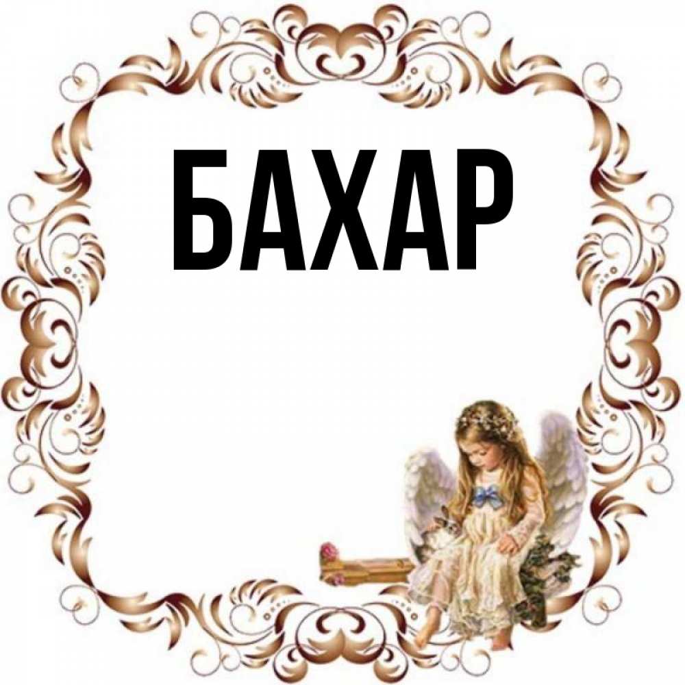 Открытка на каждый день с именем, Бахар Главная рамочка из перьев и ангелочек Прикольная открытка с пожеланием онлайн скачать бесплатно 