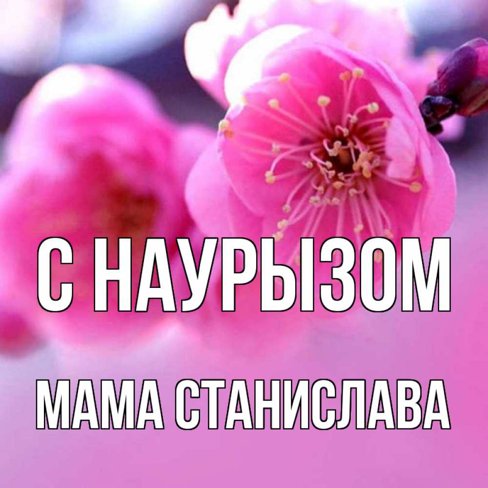 Открытка на каждый день с именем, Мама-Станислава С наурызом международный женский день Прикольная открытка с пожеланием онлайн скачать бесплатно 