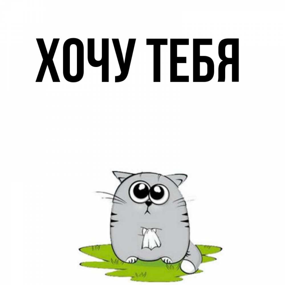 Открытка на каждый день с именем, Хочу-тебя Главная котик теребит платочек сидя на травке Прикольная открытка с пожеланием онлайн скачать бесплатно 