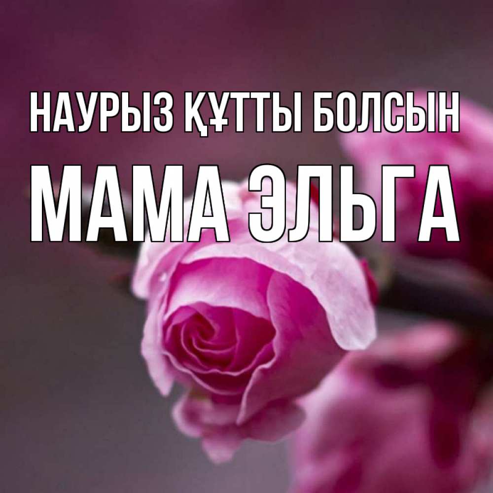 Открытка на каждый день с именем, Мама-Эльга Наурыз құтты болсын весна Прикольная открытка с пожеланием онлайн скачать бесплатно 