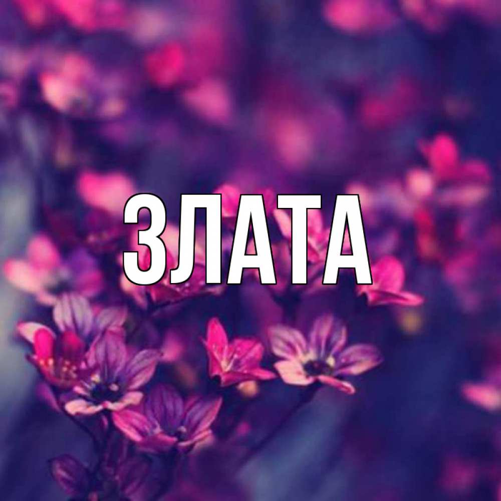 Злата Картинки С Именем