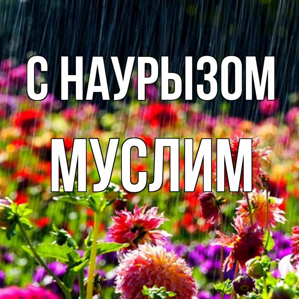 Открытка на каждый день с именем, Муслим С наурызом цветы под дождиком к международному женскому дню Прикольная открытка с пожеланием онлайн скачать бесплатно 