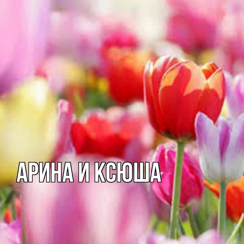 Открытка на каждый день с именем, Арина-и-Ксюша Главная на наурыз  2 Прикольная открытка с пожеланием онлайн скачать бесплатно 