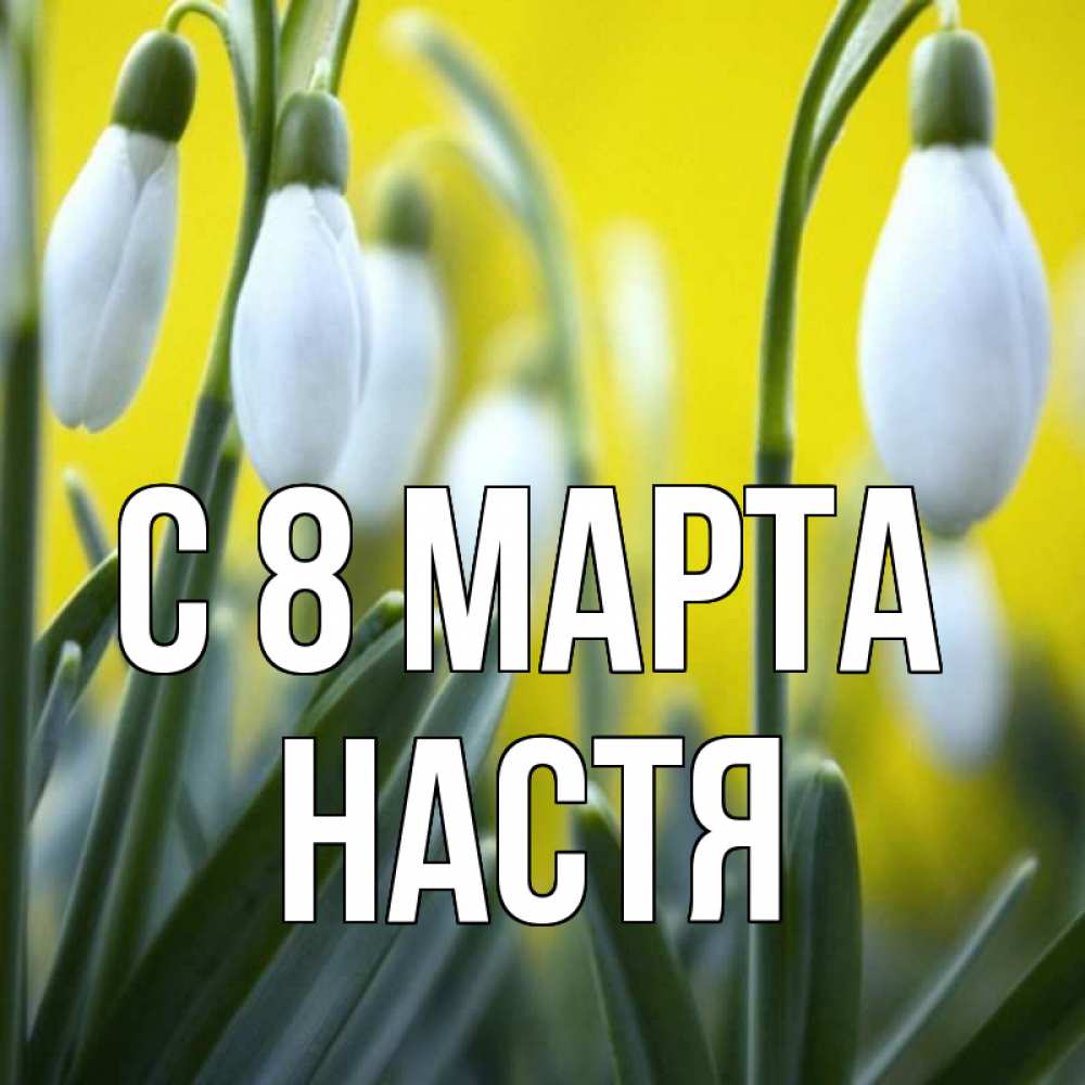 Открытка на каждый день с именем, Настя С 8 МАРТА весенние цветы Прикольная открытка с пожеланием онлайн скачать бесплатно 