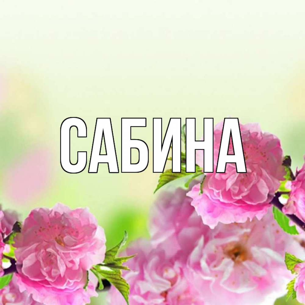 Открытка на каждый день с именем, Сабина Главная цветы Прикольная открытка с пожеланием онлайн скачать бесплатно 