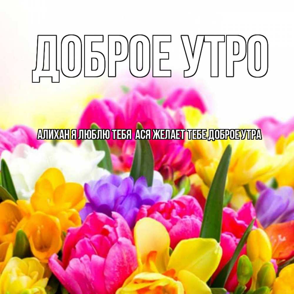 обычно картинки доброе утро ася том, где