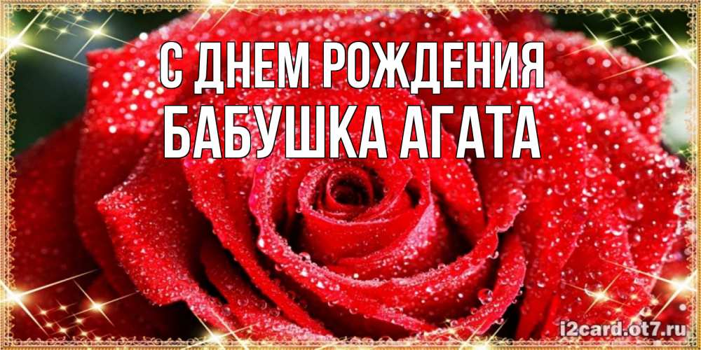 Открытка на каждый день с именем, Бабушка-Агата С днем рождения роса и роза. открытка с красивой розой Прикольная открытка с пожеланием онлайн скачать бесплатно 