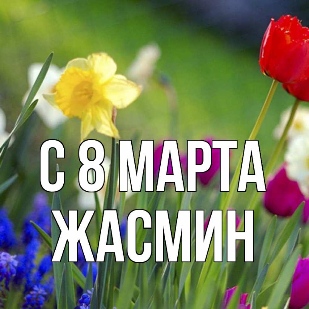 Открытка на каждый день с именем, Жасмин С 8 марта международный женский день 3 Прикольная открытка с пожеланием онлайн скачать бесплатно 