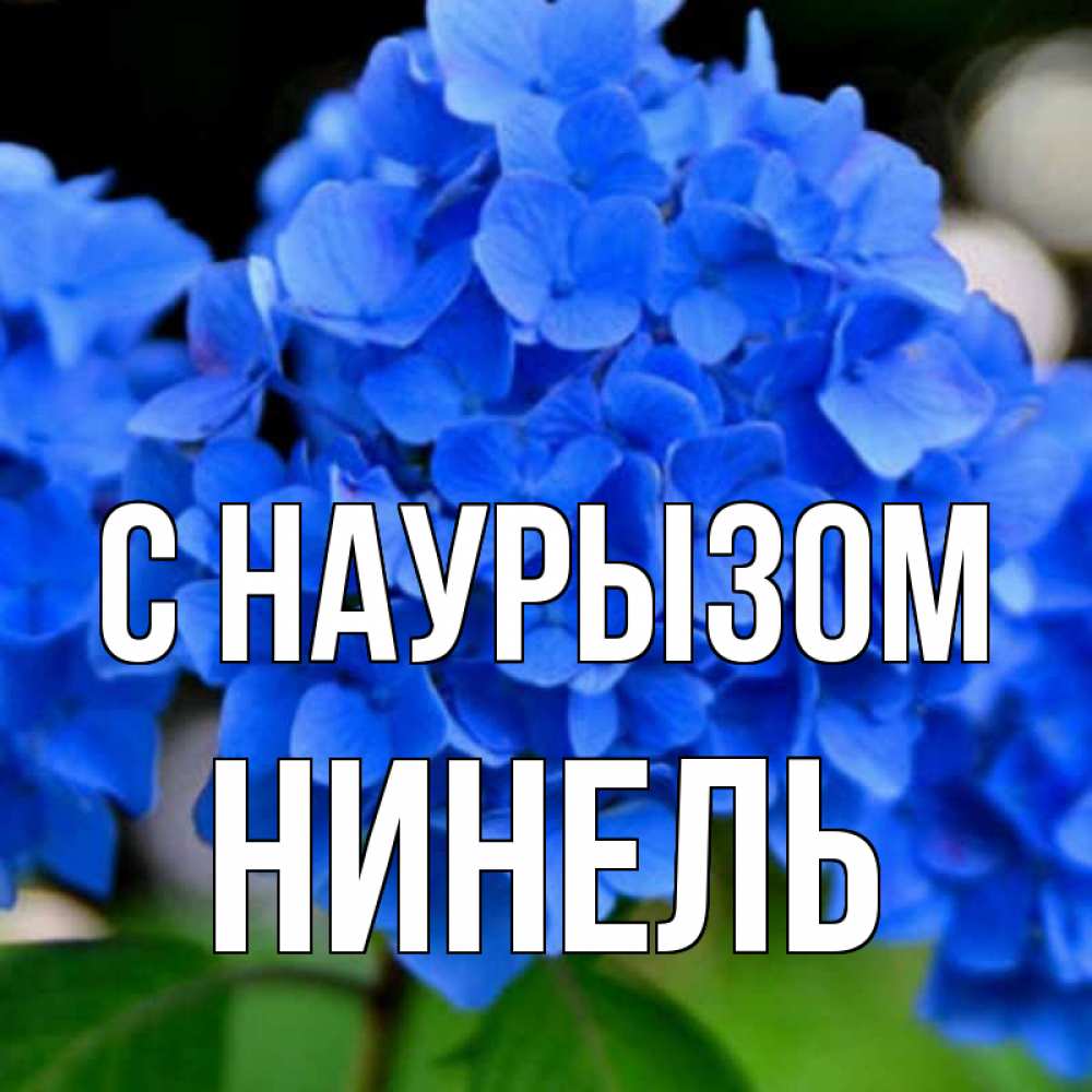 Открытка на каждый день с именем, Нинель С наурызом синие цветы Прикольная открытка с пожеланием онлайн скачать бесплатно 