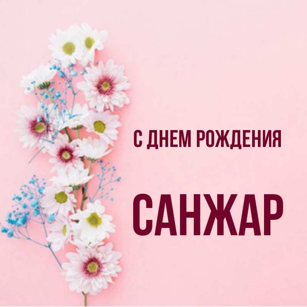 С днем рождения санжар картинки