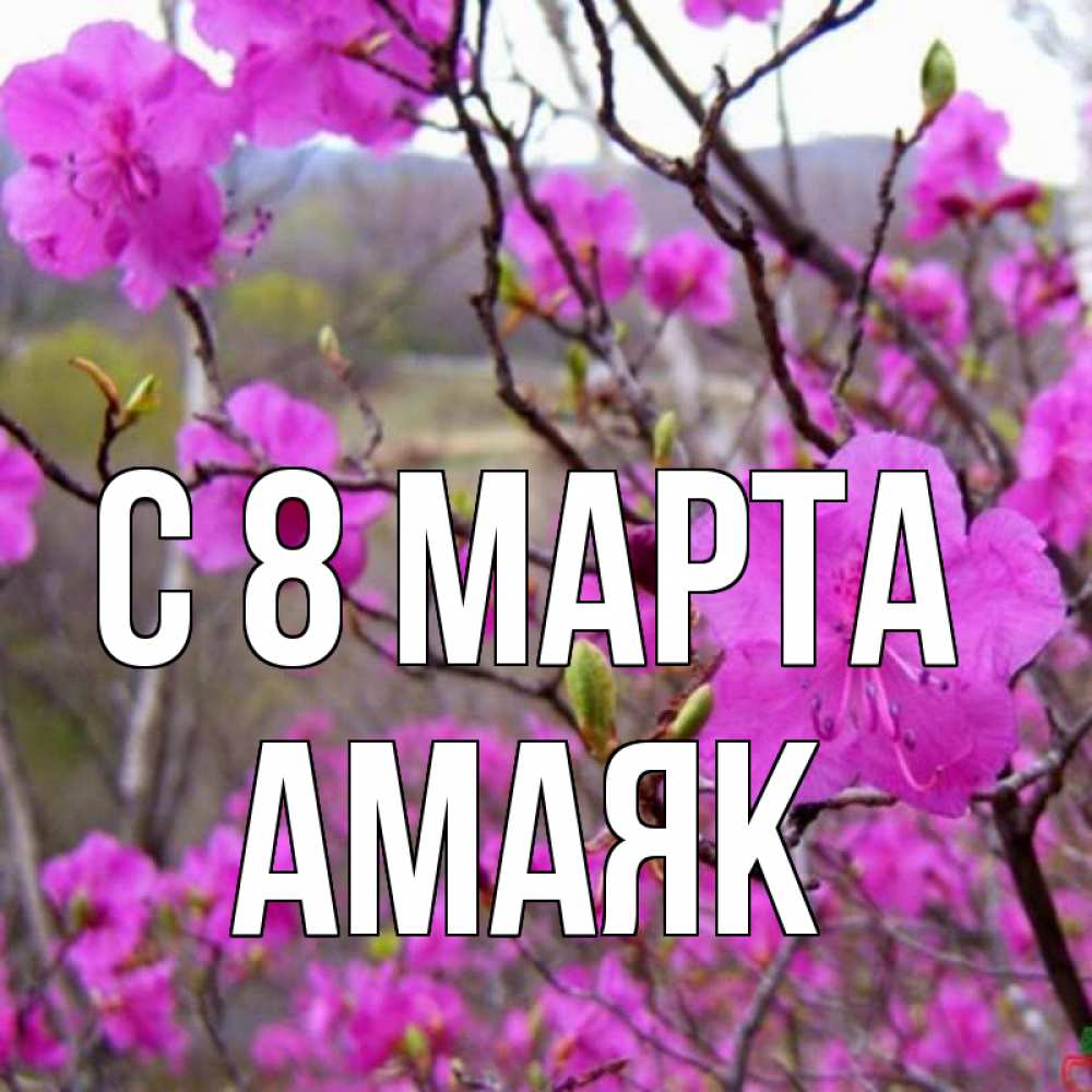 Открытка на каждый день с именем, Амаяк С 8 МАРТА международный женский день Прикольная открытка с пожеланием онлайн скачать бесплатно 