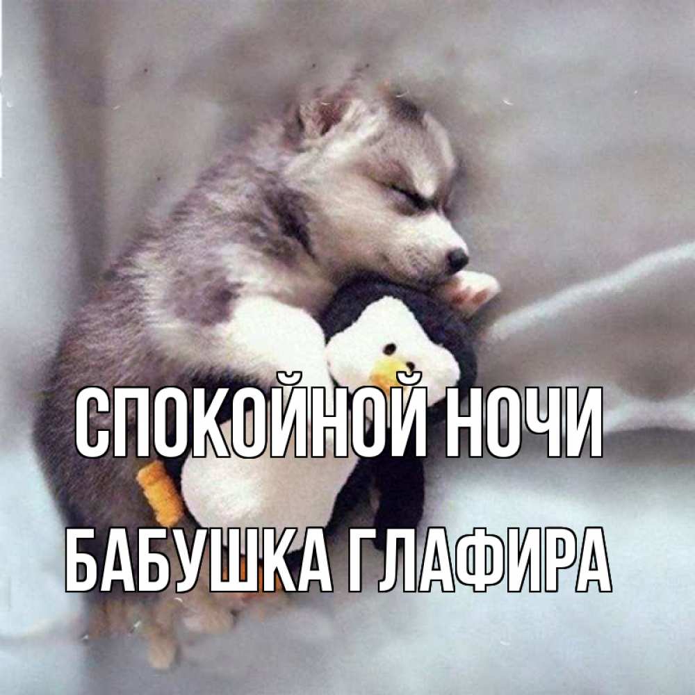 Открытка на каждый день с именем, Бабушка-Глафира Спокойной ночи обнимашки щенка и пингвина Прикольная открытка с пожеланием онлайн скачать бесплатно 