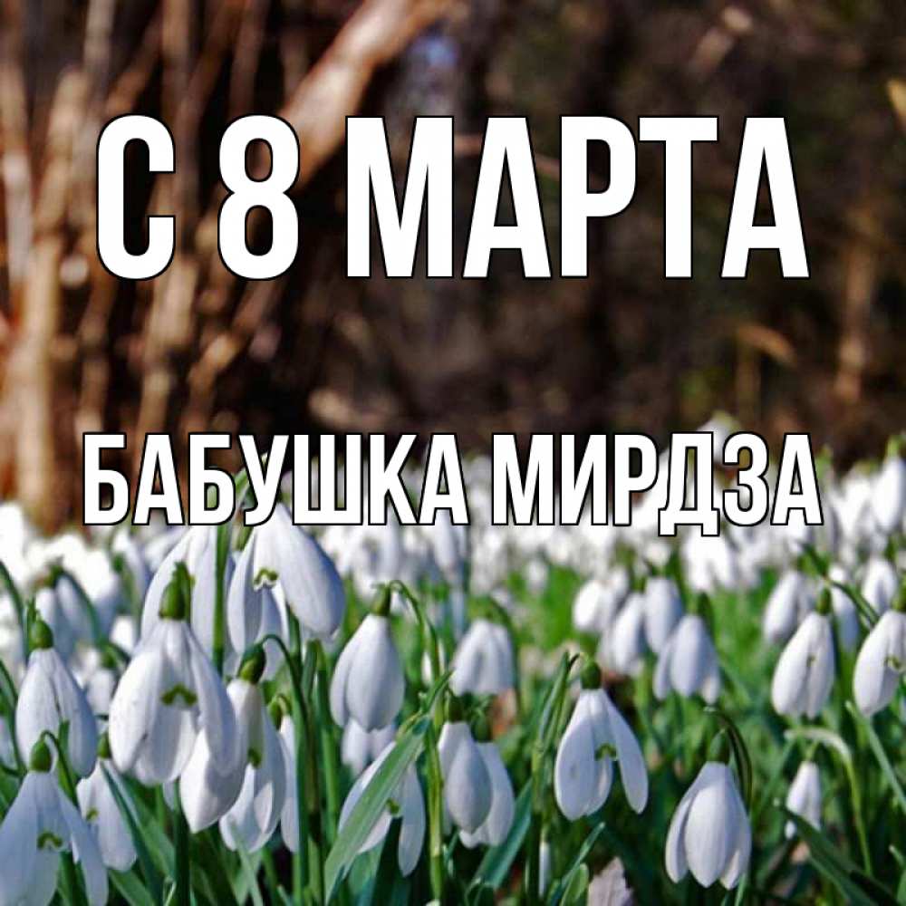 Открытка на каждый день с именем, Бабушка-Мирдза С 8 МАРТА с подснежниками 1 Прикольная открытка с пожеланием онлайн скачать бесплатно 