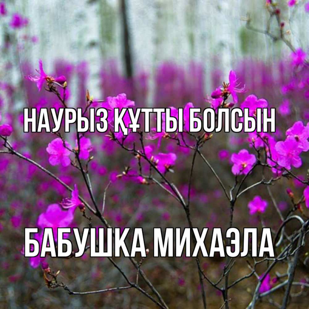 Открытка на каждый день с именем, Бабушка-Михаэла Наурыз құтты болсын дикие цветы Прикольная открытка с пожеланием онлайн скачать бесплатно 