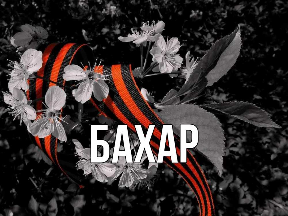 Открытка на каждый день с именем, Бахар Главная 9 мая Прикольная открытка с пожеланием онлайн скачать бесплатно 