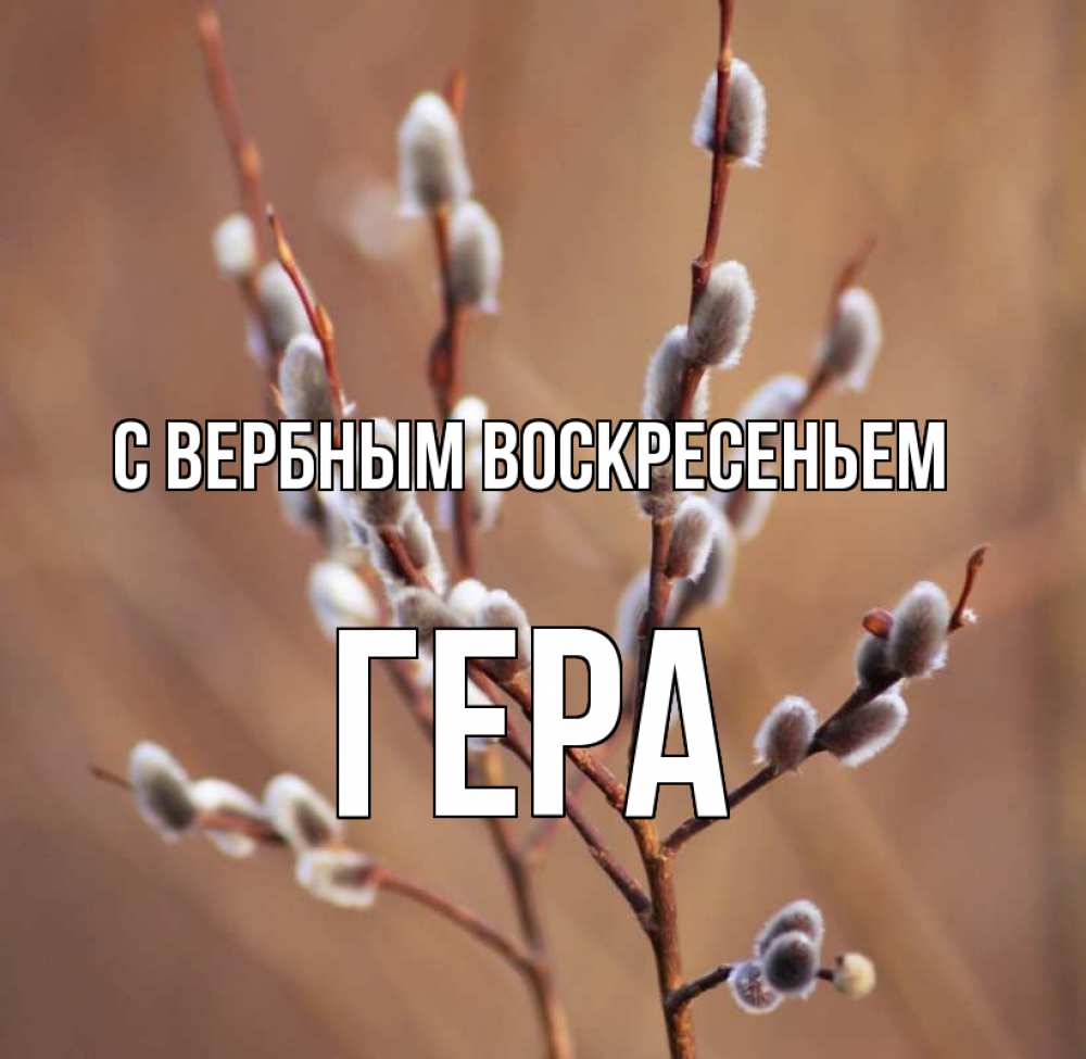 Открытка на каждый день с именем, Гера С вербным воскресеньем верба Прикольная открытка с пожеланием онлайн скачать бесплатно 