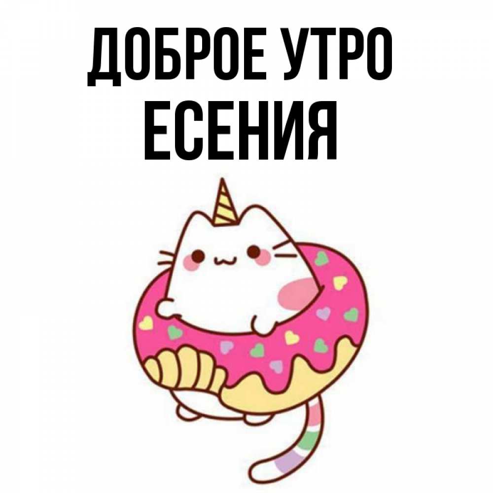 Открытка на каждый день с именем, Есения Доброе утро кот в бублике Прикольная открытка с пожеланием онлайн скачать бесплатно 