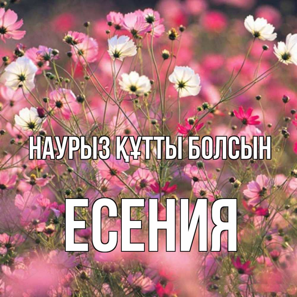 Открытка на каждый день с именем, Есения Наурыз құтты болсын красиво 1 Прикольная открытка с пожеланием онлайн скачать бесплатно 