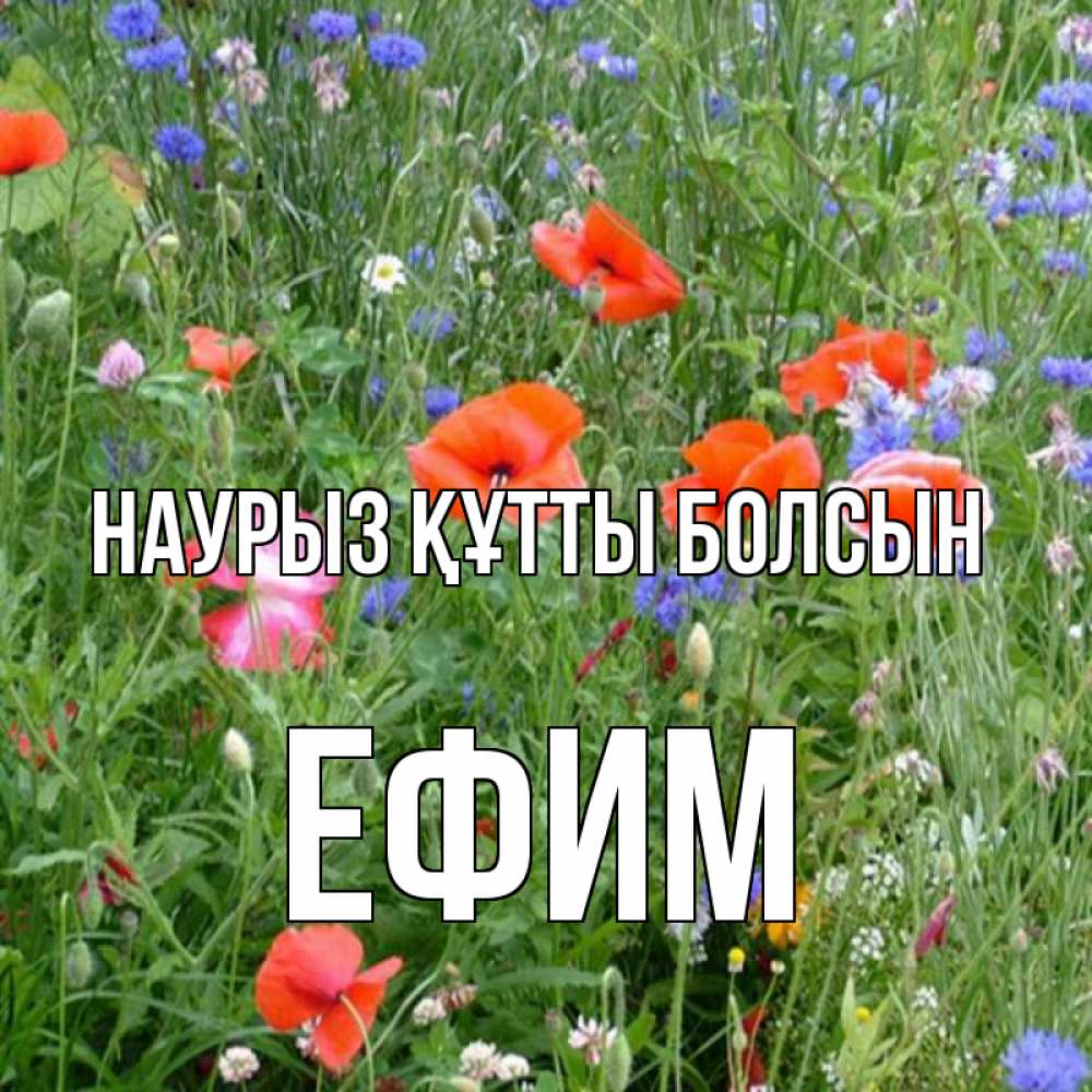 Открытка на каждый день с именем, Ефим Наурыз құтты болсын наурыз  4 Прикольная открытка с пожеланием онлайн скачать бесплатно 
