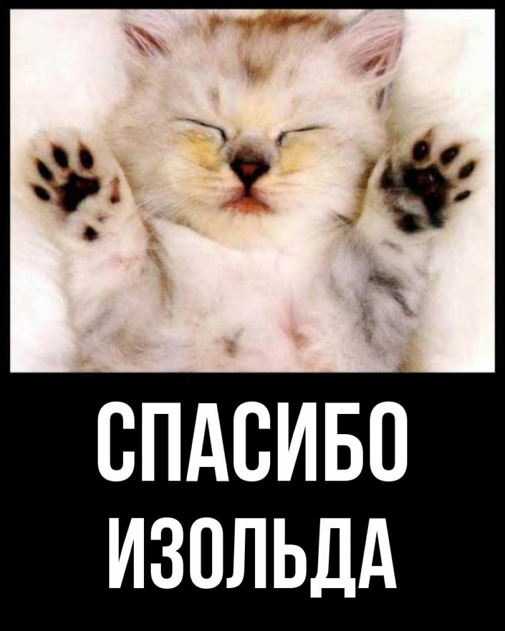 Открытка на каждый день с именем, Изольда Спасибо маленький котенок Прикольная открытка с пожеланием онлайн скачать бесплатно 