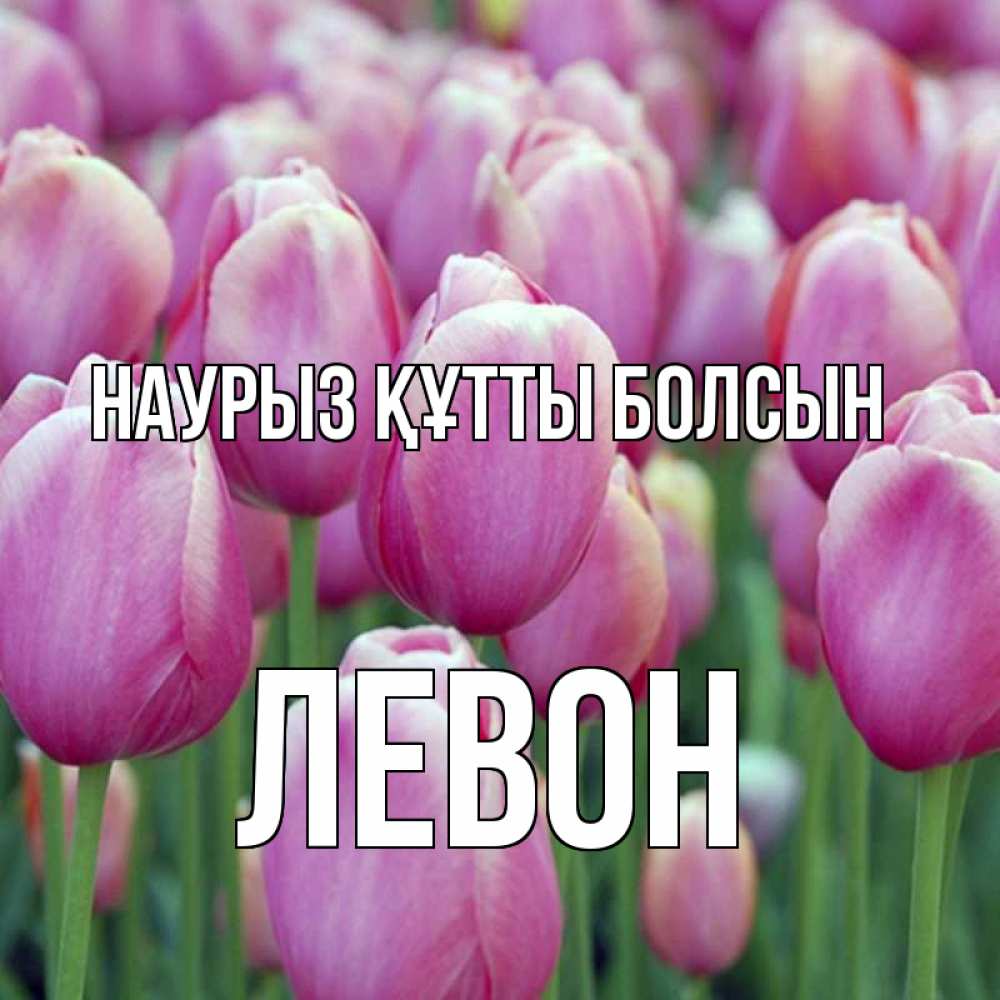 Открытка на каждый день с именем, Левон Наурыз құтты болсын на наурыз  день 3 Прикольная открытка с пожеланием онлайн скачать бесплатно 