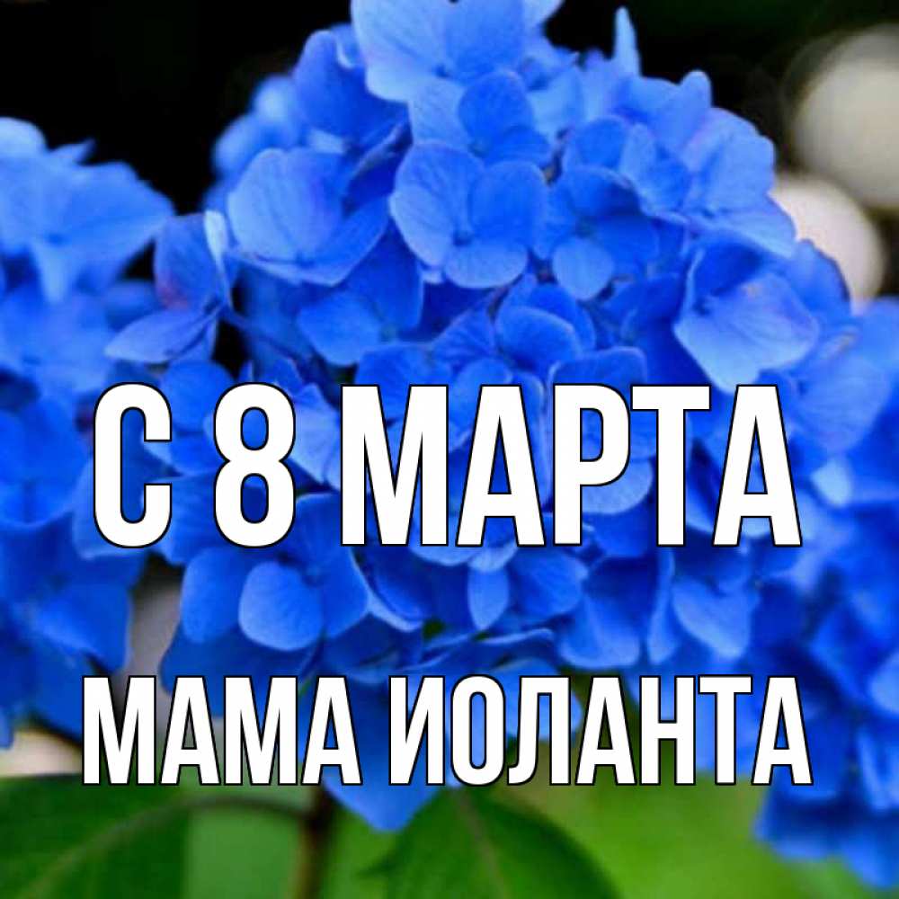 Открытка на каждый день с именем, Мама-Иоланта С 8 МАРТА синие цветы Прикольная открытка с пожеланием онлайн скачать бесплатно 
