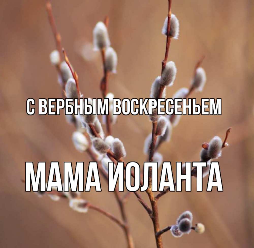 Открытка на каждый день с именем, Мама-Иоланта С вербным воскресеньем верба Прикольная открытка с пожеланием онлайн скачать бесплатно 