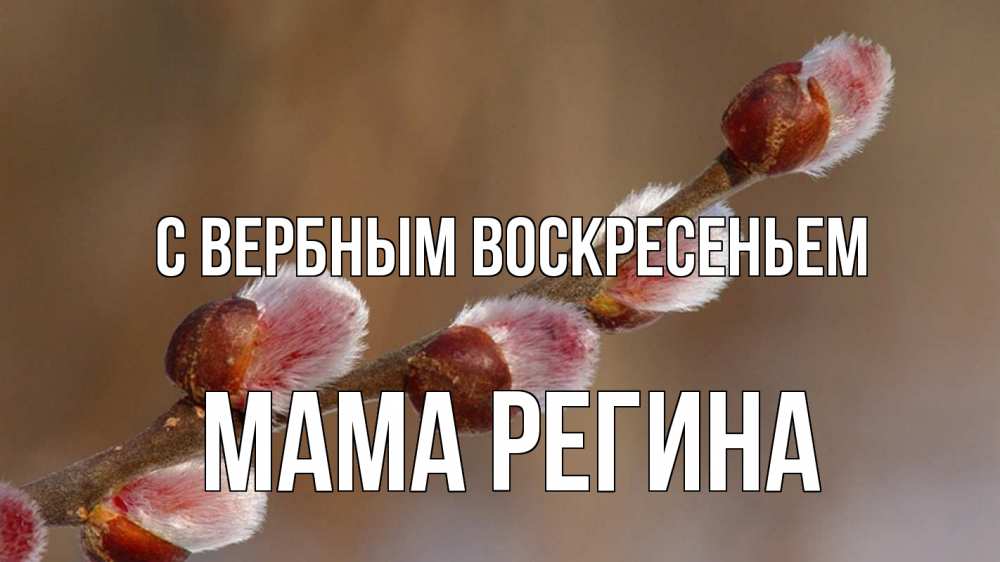Открытка на каждый день с именем, Мама-Регина С вербным воскресеньем верба Прикольная открытка с пожеланием онлайн скачать бесплатно 