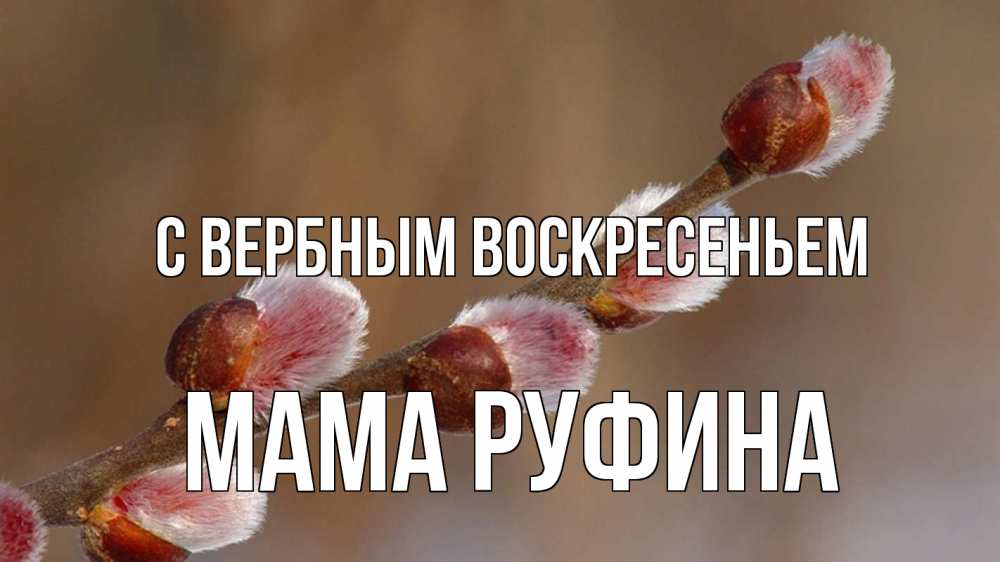 Открытка на каждый день с именем, Мама-Руфина С вербным воскресеньем верба Прикольная открытка с пожеланием онлайн скачать бесплатно 