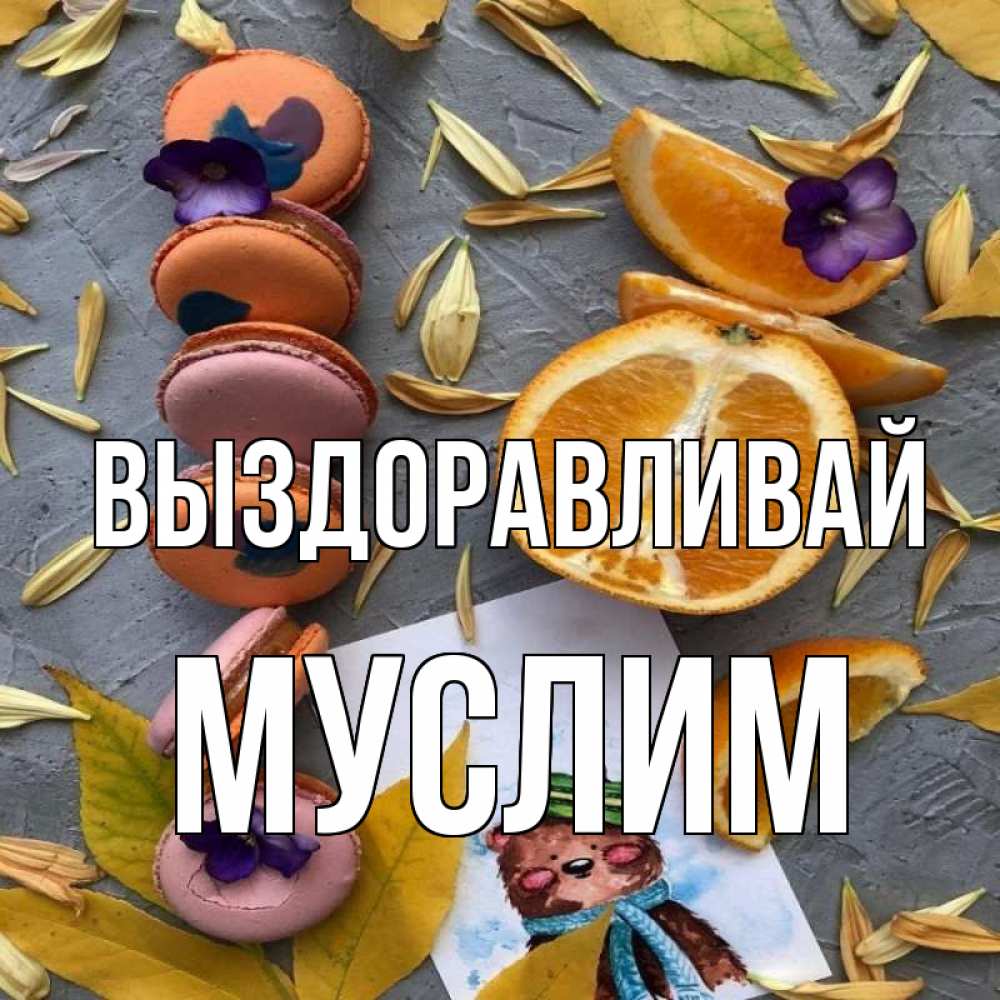 Открытка на каждый день с именем, Муслим Выздоравливай не болейте Прикольная открытка с пожеланием онлайн скачать бесплатно 