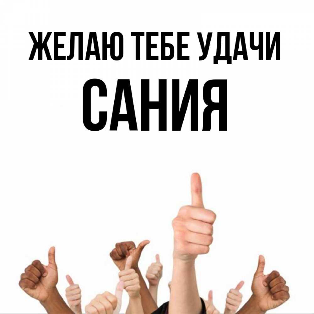 Открытка на каждый день с именем, Сания Желаю тебе удачи молодцом Прикольная открытка с пожеланием онлайн скачать бесплатно 