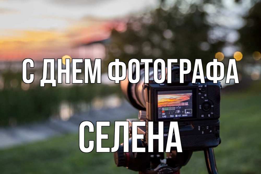 Открытка на каждый день с именем, Селена С днем фотографа с днем фотографа Прикольная открытка с пожеланием онлайн скачать бесплатно 