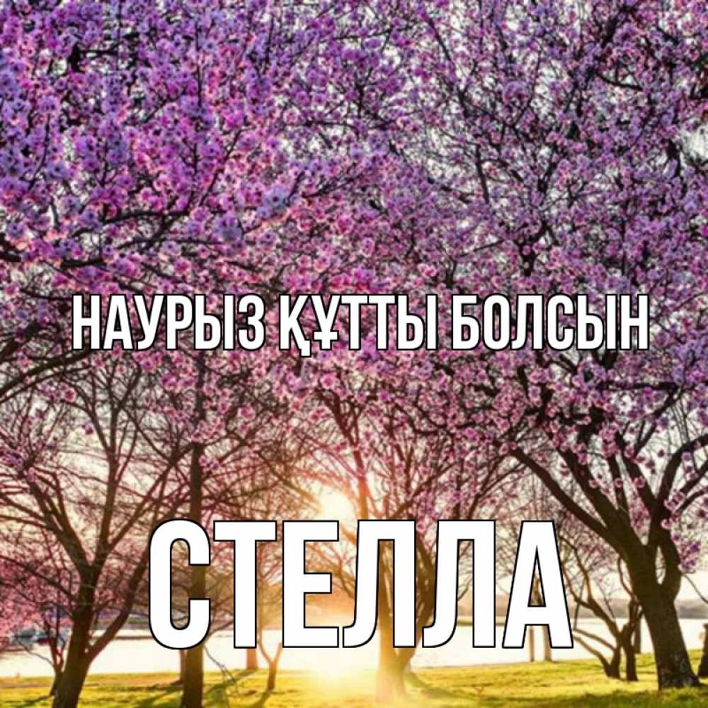 Открытка на каждый день с именем, Стелла Наурыз құтты болсын наурыз Прикольная открытка с пожеланием онлайн скачать бесплатно 
